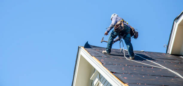 Best Roof Gutter Cleaning  in Farmland, IN